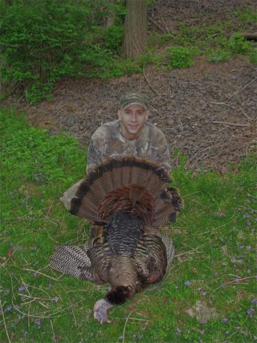Braggin' Board Photo: Spring Gobbler