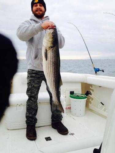 Braggin' Board Photo: Sea Bass