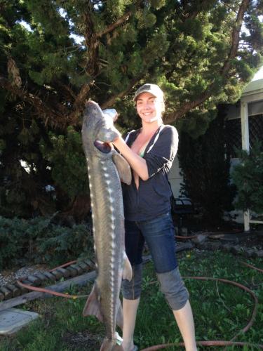 Braggin' Board Photo: Sturgeon