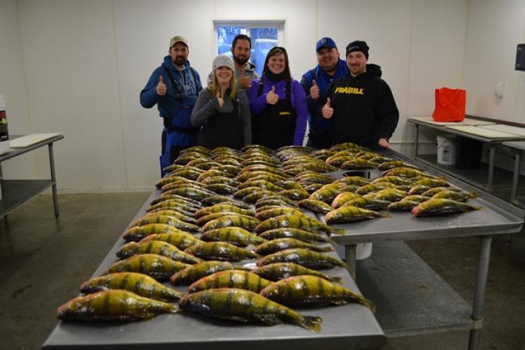 Limits of Big Perch With The Perch Patrol Braggin' Board Photo: Limits of Big Perch With The Perch Patrol