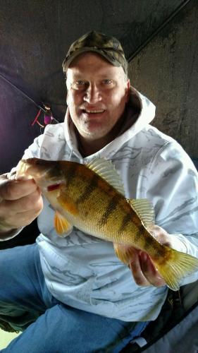 Ice Fishing Perch Braggin' Board Photo: Ice Fishing Perch