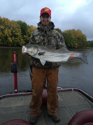 Braggin' Board Photo: Big Old Striper Bass