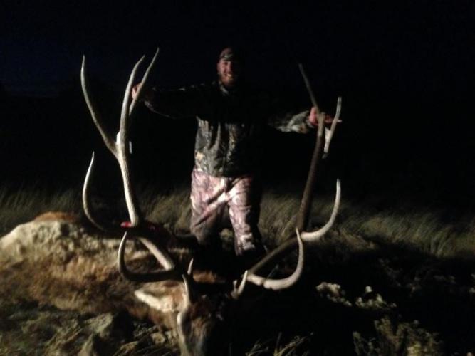 Braggin' Board Photo: 7x9 flagstaff elk