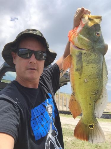 Braggin' Board Photo: Peacock Bass Fishing