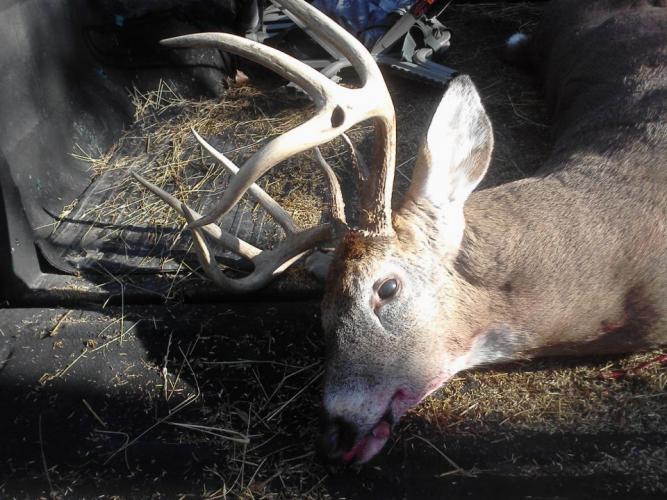 Braggin' Board Photo: Randall's Nice Buck