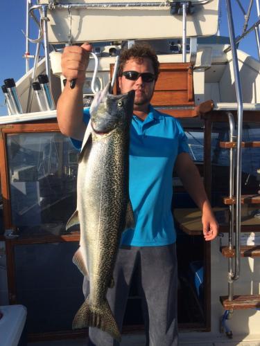 Braggin' Board Photo: King Salmon