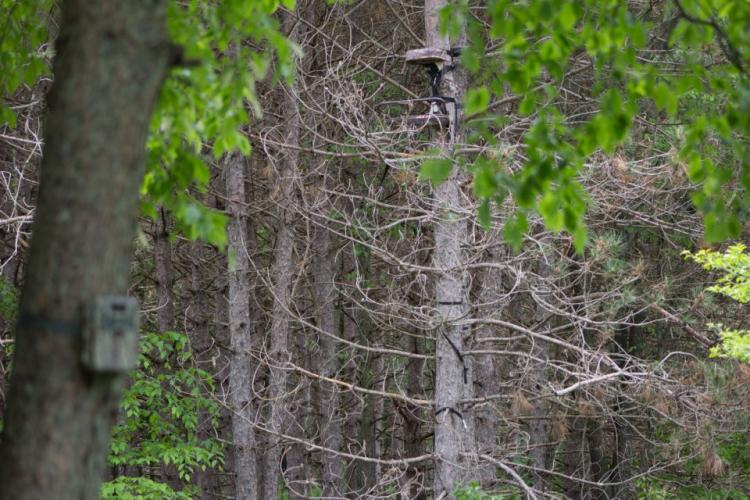 Braggin' Board Photo: My Treestand