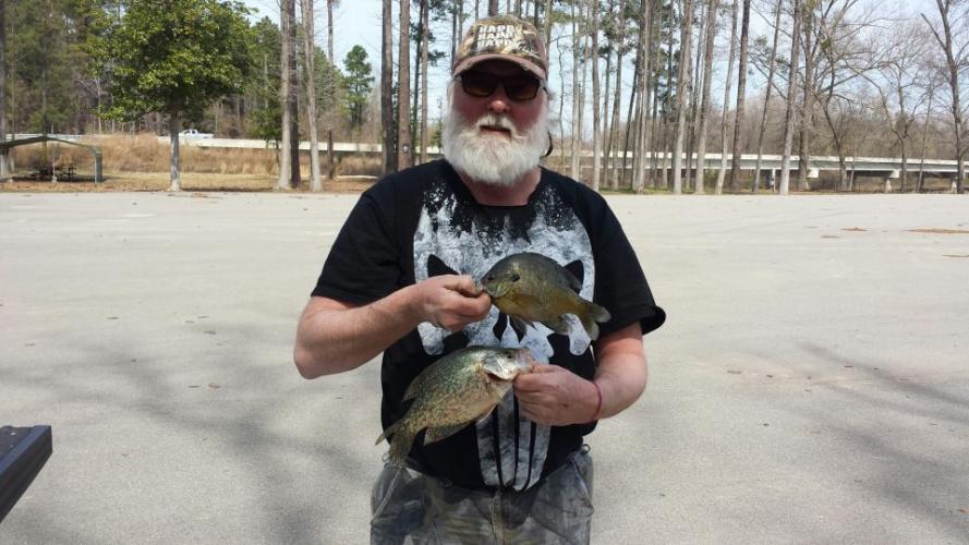 Braggin' Board Photo: Bream fishing in March