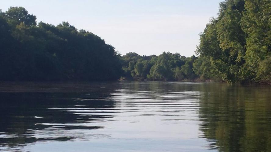 Braggin' Board Photo: River Panfishing