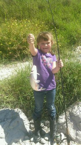 Braggin' Board Photo: Awesome Catfish