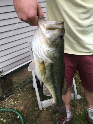 Braggin' Board Photo: Largemouth Bass