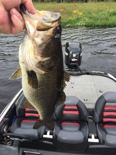 Braggin' Board Photo: Nice Bass in my Nitro