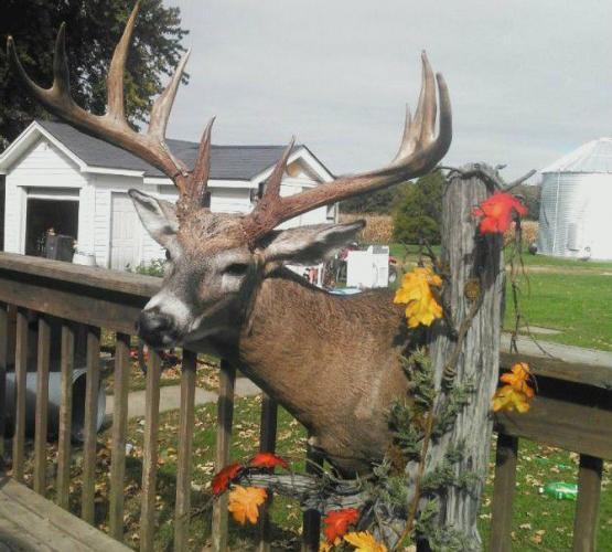Braggin' Board Photo: Barrett Deer post