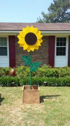 Braggin' Board Photo: Sunflower that never dies