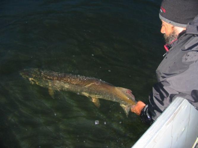 Braggin' Board Photo: Catch & Release fishing