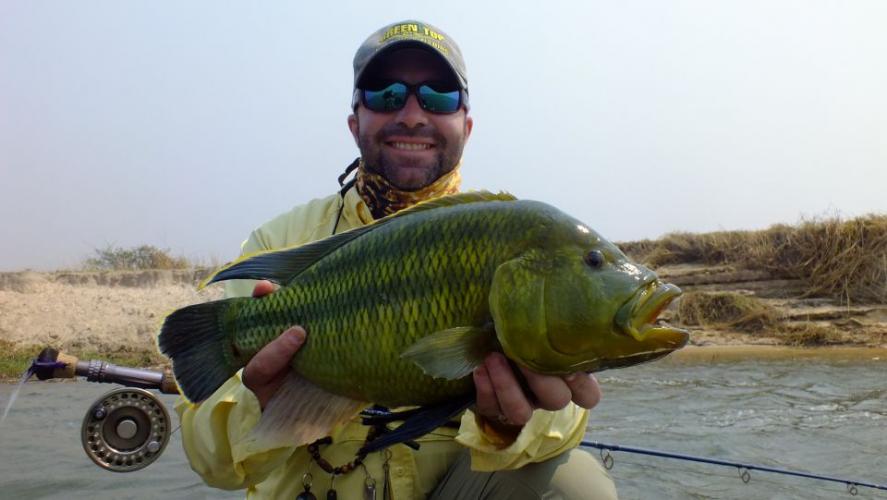Braggin' Board Photo: Nembwe (Olive Bream)