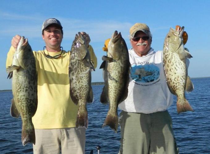 St. Marks Gag Grouper Braggin' Board Photo: St. Marks Gag Grouper