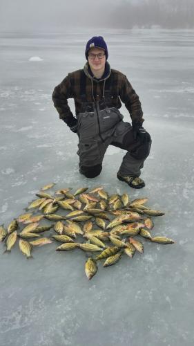 Fishing Yellow Bass Braggin' Board Photo: Fishing Yellow Bass