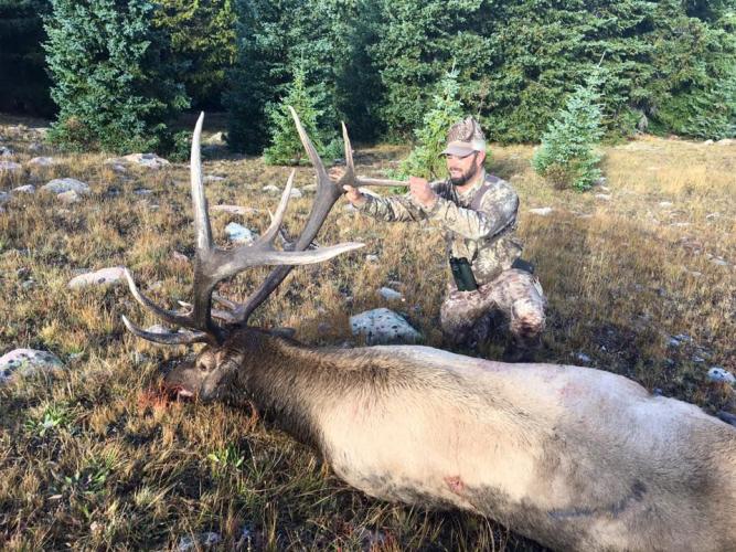 2016 Bull Elk Braggin' Board Photo: 2016 Bull Elk