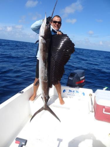 Braggin' Board Photo: Sailfish