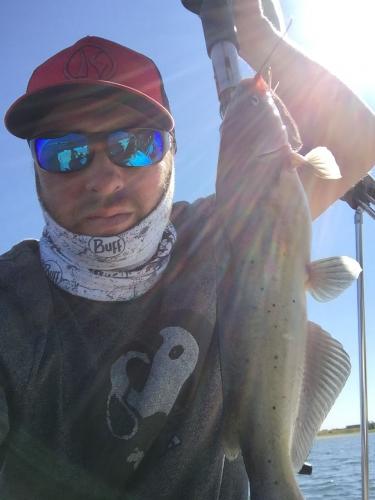 Braggin' Board Photo: Catfish