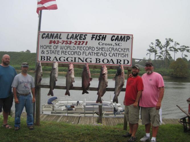 Braggin' Board Photo: Some Big Cats