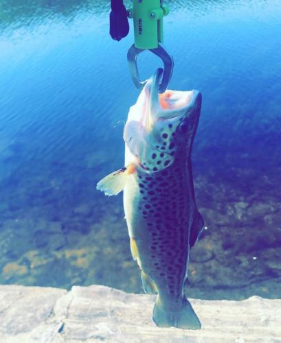 Braggin' Board Photo: Nice Catch