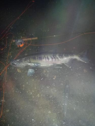 Braggin' Board Photo: Chum