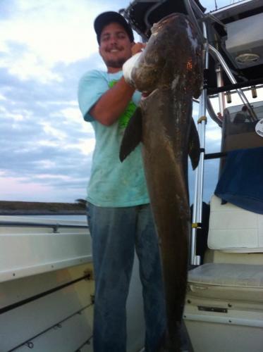 Braggin' Board Photo: Mackerel 528207 4280634180190 1882267681 n