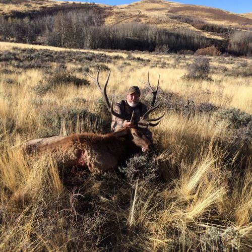 Braggin' Board Photo: Nice Bull Elk