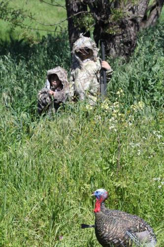 Braggin' Board Photo: Calling in a Decoy