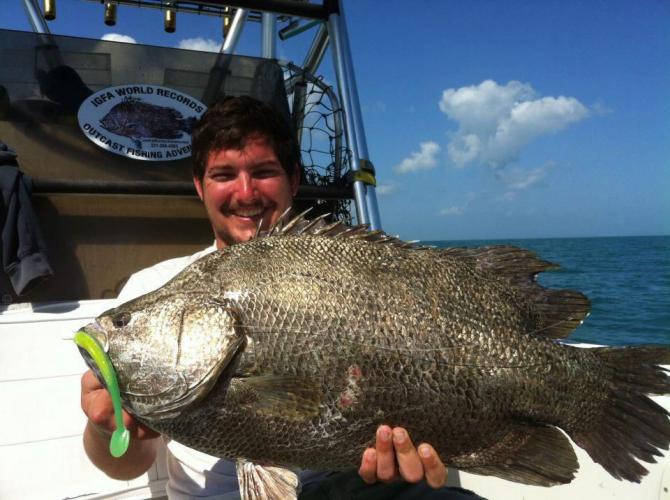 Braggin' Board Photo: Tripletail 644601 677113178265 118981389 n