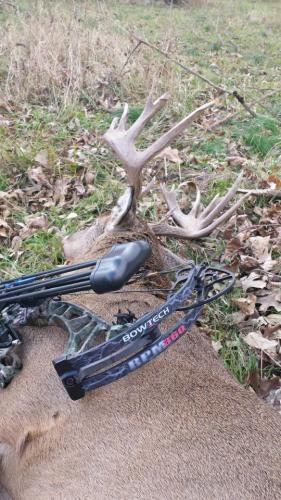 Braggin' Board Photo: 2014 Buck