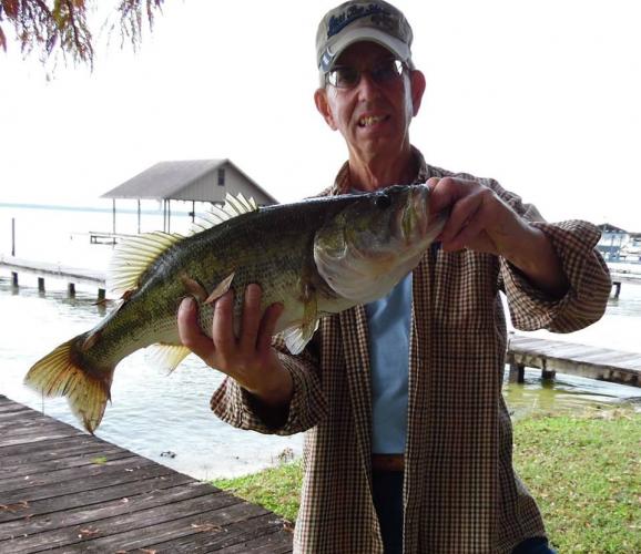 Braggin' Board Photo: 6.5 lb 24.5 inch Largemouth Bass