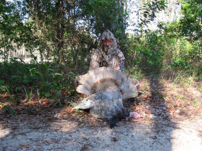 Braggin' Board Photo: Nice Gobbler