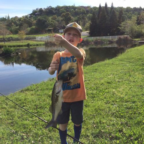 Braggin' Board Photo: 4 year old's 2nd catch ever