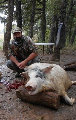 Braggin' Board Photo: Hogging ok2