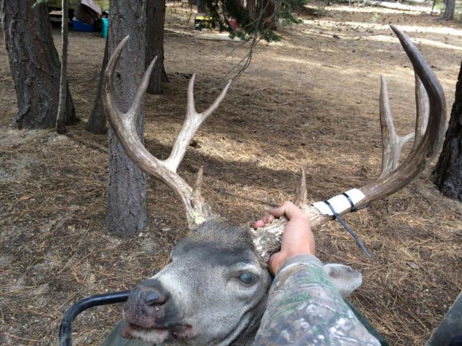 Braggin' Board Photo: IMG 0002 Buck