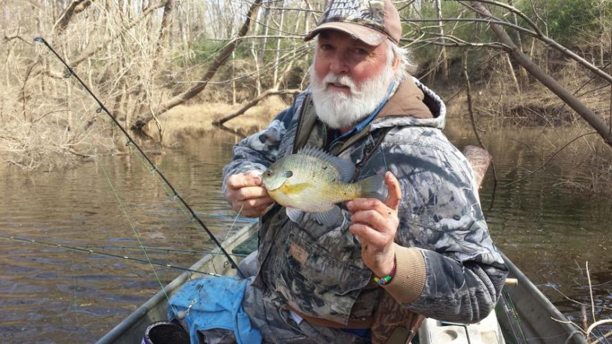 Braggin' Board Photo: Cold water Bream