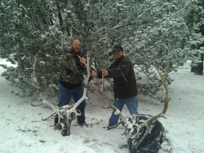 Braggin' Board Photo: Elk Hunting image