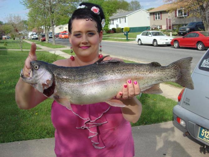 Braggin' Board Photo: Nice Trout