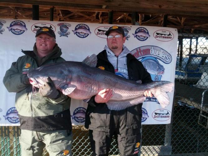 Braggin' Board Photo: 71 55 lb Blue Cat