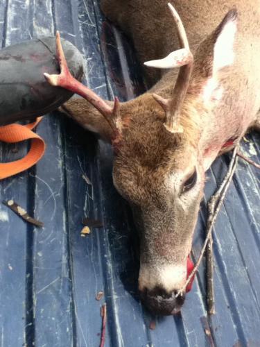 Braggin' Board Photo: Deer Hunting