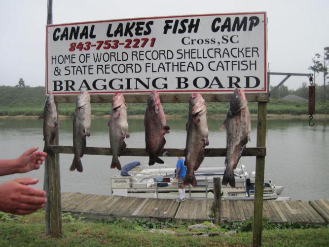 Braggin' Board Photo: Another Kind of Bragging Board