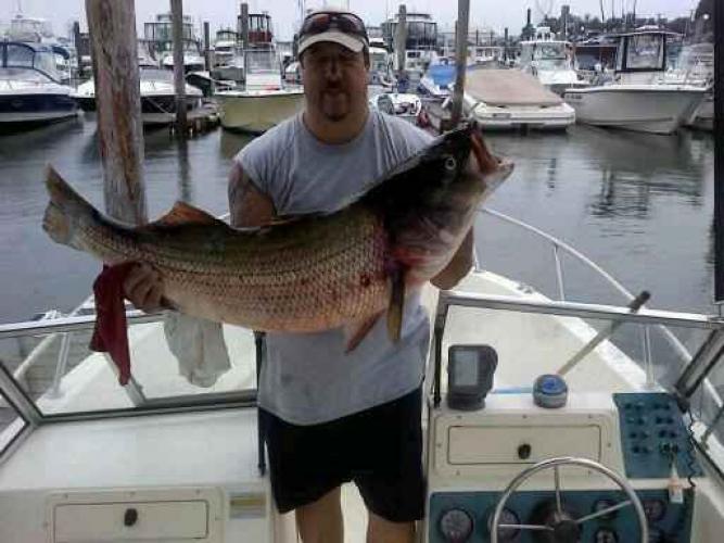 Stripper Bass Braggin' Board Photo: Stripper Bass