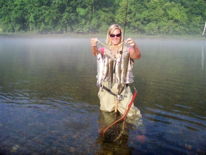 Braggin' Board Photo: white river trout
