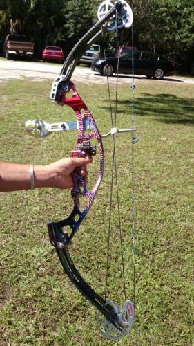 Braggin' Board Photo: Nice bow