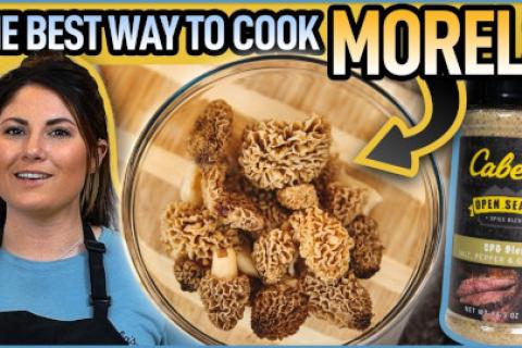 Morels Thumbnail