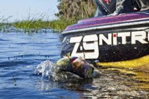 News & Tips: 6 Key Tips & Baits for Topwater Bass Fishing...