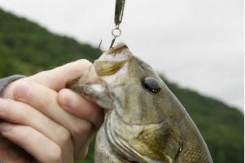 News & Tips: Use Jigging Spoons to Catch More Fish in Cold Water...